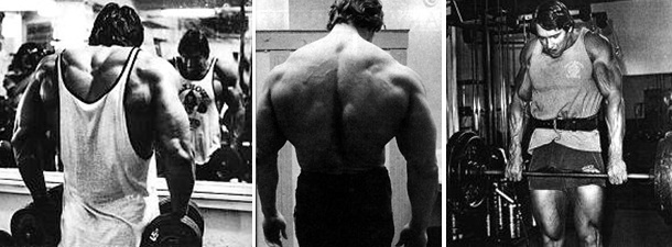 arnold-trapezius