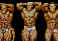 Mr olympia 2001