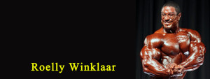 roelly-winklaar-banner