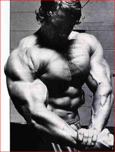 Schwarzenegger Arnold 3