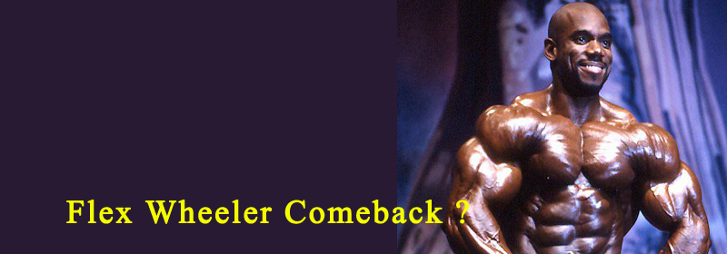 flex-wheeler-comeback