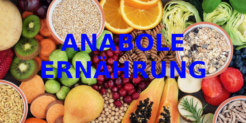 ANABOLE ERNÄHRUNG