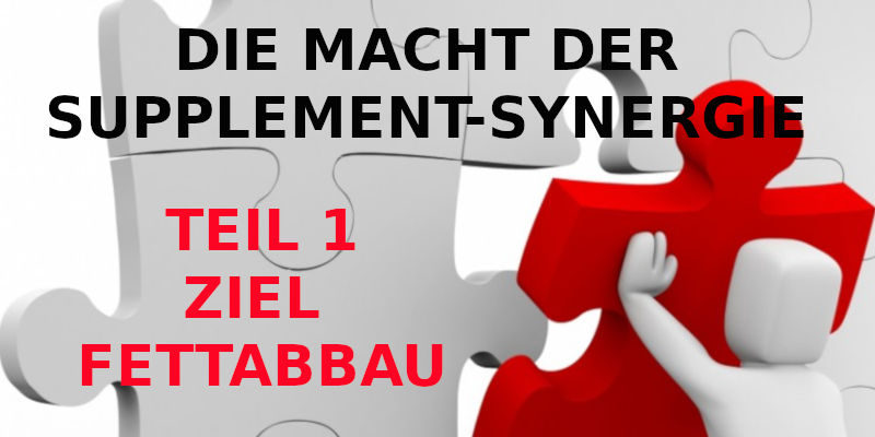 DIE MACHT DER SUPPLEMENT-SYNERGIE - TEIL 1