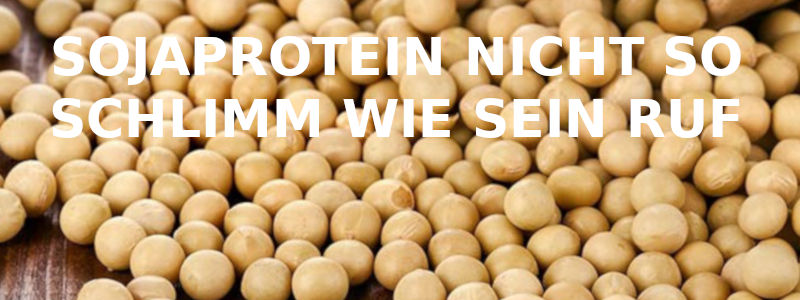 SOJAPROTEIN NICHT SO SCHLIMM WIE SEIN RUF
