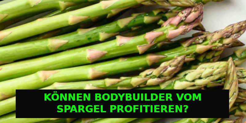 spargel banner