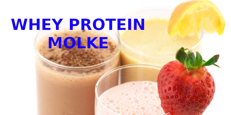 whey Protein molke