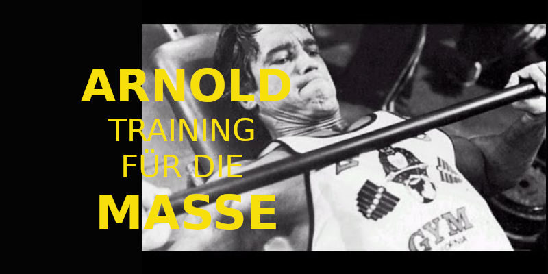 arnold training für die masse banner