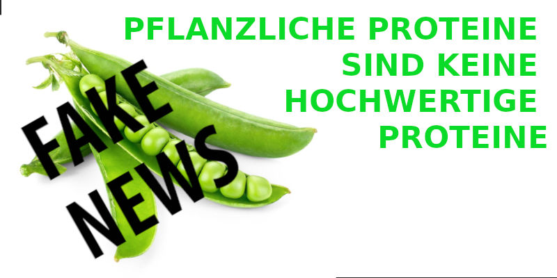 PFLANZLICHE PROTEINE - KEINE HOCHWERTIGE PROTEINE BANNER