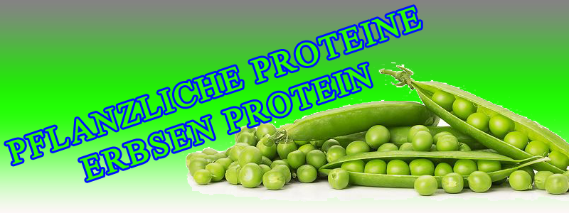 Erbsen-Protein-Banner