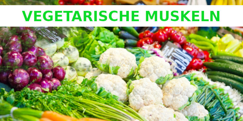 VEGETARISCHE MUSKELN