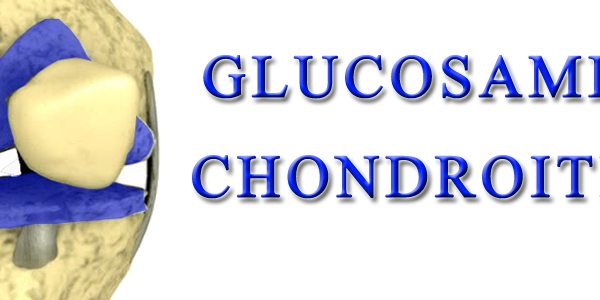 GLUCOSAMIN CHONDROITIN